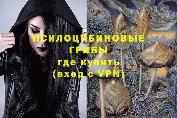первитин Алексеевка