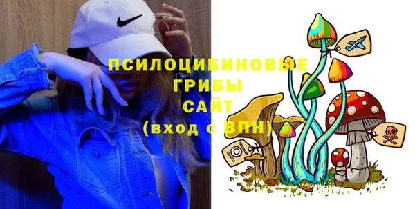 первитин Алексеевка