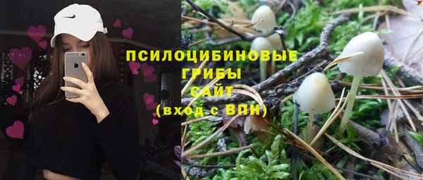 спиды Алзамай