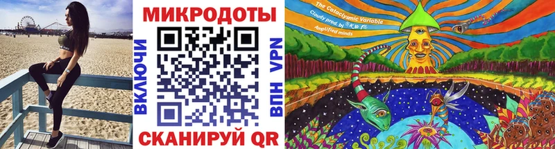 гидра зеркало  Чебоксары  Псилоцибиновые грибы Psilocybe 